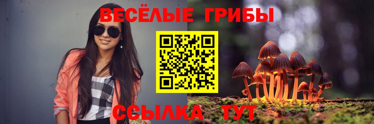 Чебаркуль  где купить наркоту  Вход с VPN  Псилоцибиновые грибы MAGIC MUSHROOMS 